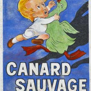 Canard sauvage1