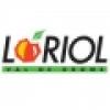 logo ville Loriol2